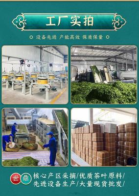 小葉苦丁茶青山綠水特級批發2023新茶正品四川筠連復活茶去火嫩芽