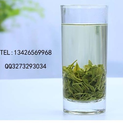 北京狗牯腦茶 名優綠茶江西遂川茍古腦茶葉批發價格圖片_高清圖_細節圖-江西遂川狗牯腦茶原產地批發零售