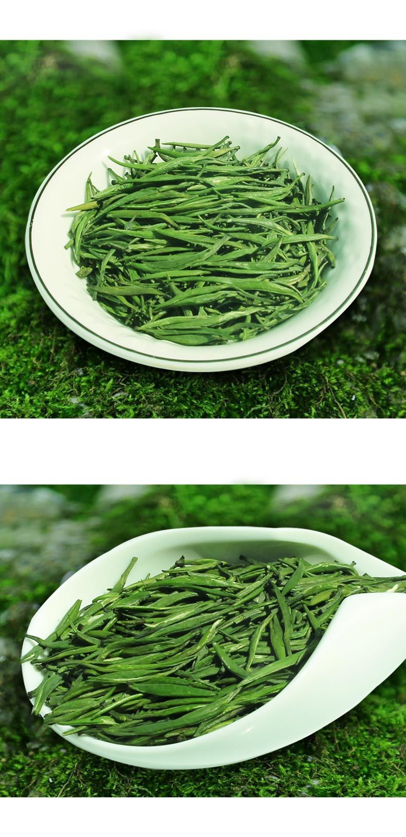 【圖】天然茶葉批發兼零售 高山一級湄潭翠芽 貴州產地高端.
