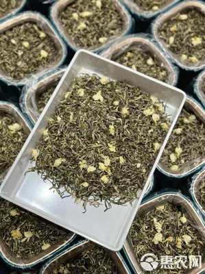 茉莉銀針 茉莉花茶 廣西橫縣茉莉茶 花茶 罐裝濃香批發價綠茶